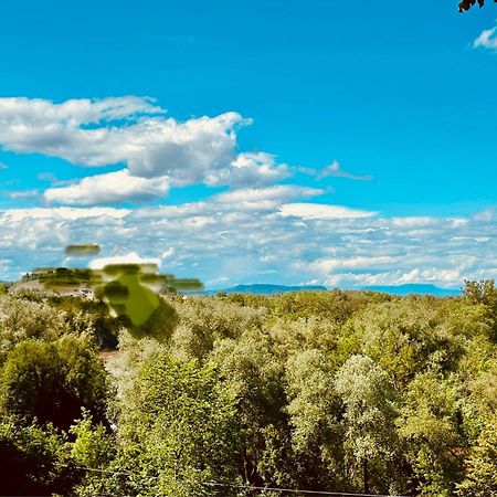 Georgi Schloss - Boutique Hotel Ehrenhausen Kültér fotó