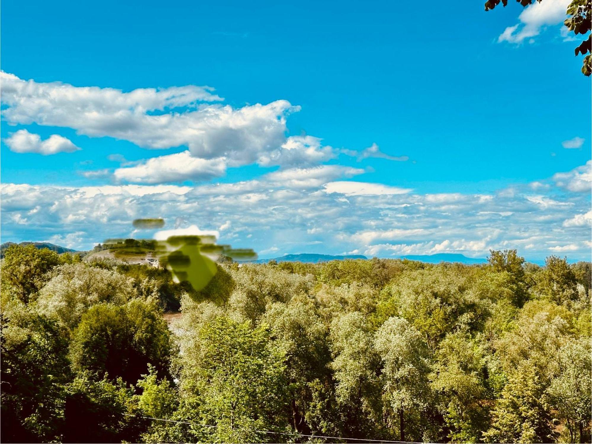 Georgi Schloss - Boutique Hotel Ehrenhausen Kültér fotó